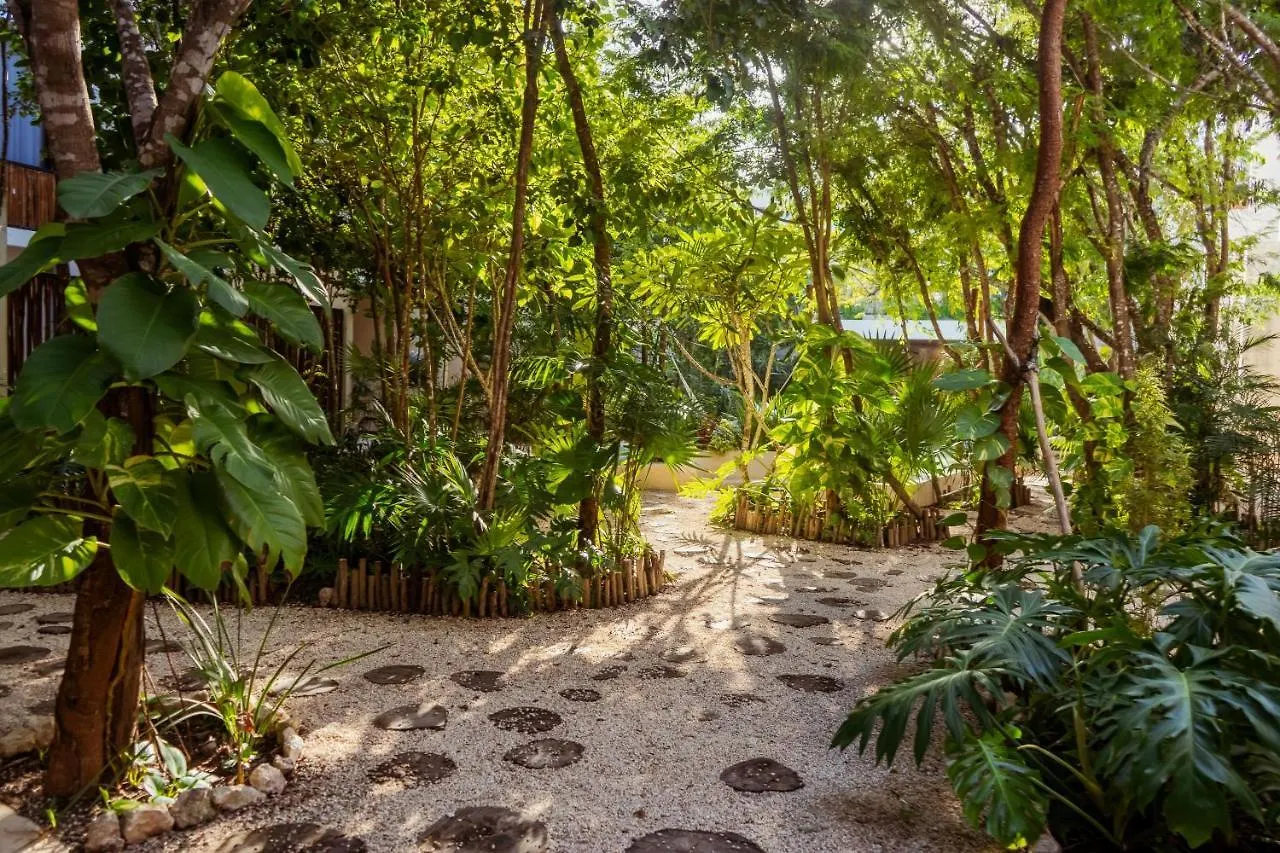 3Br The Pearl Of La Veleta Rf Pool Hammock Quiet Apartment Tulum