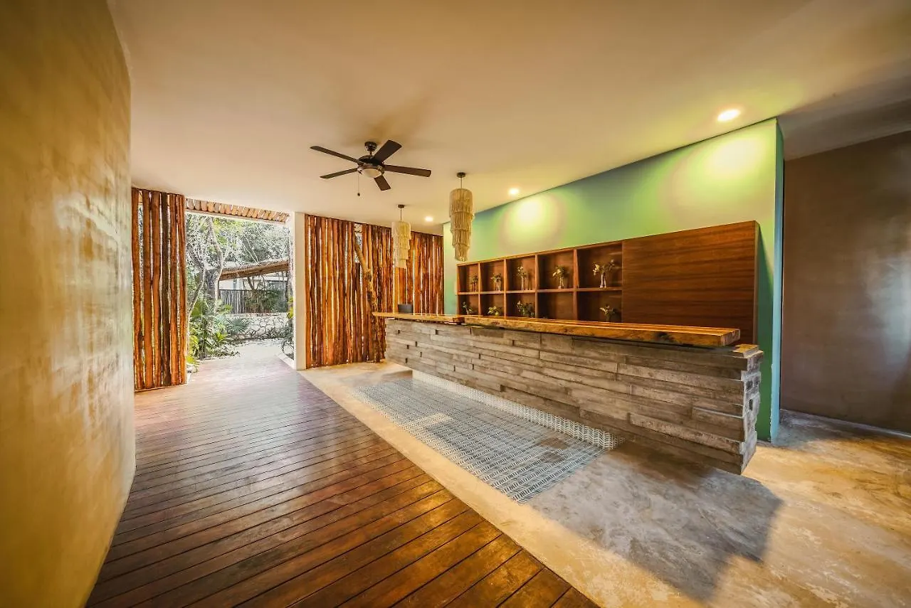 3Br The Pearl Of La Veleta Rf Pool Hammock Quiet Apartment Tulum