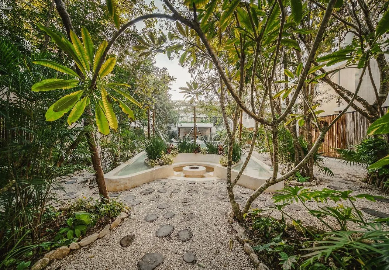 3Br The Pearl Of La Veleta Rf Pool Hammock Quiet Apartment Tulum Mexico