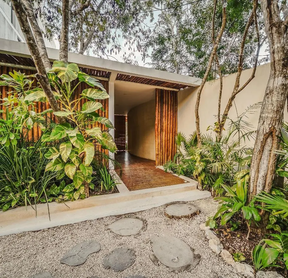 3Br The Pearl Of La Veleta Rf Pool Hammock Quiet Apartment Tulum